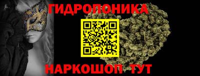 шишки Можайск