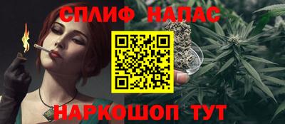mdpv Можга