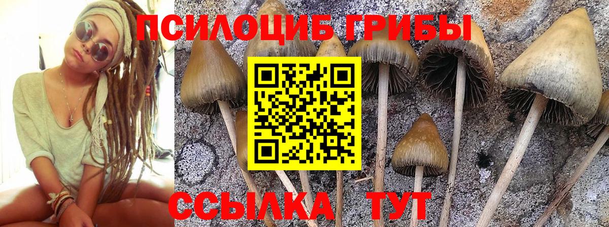 Псилоцибиновые грибы MAGIC MUSHROOMS  закладки  Вход с VPN  Саяногорск  Галлюциногенные грибы Cubensis 
