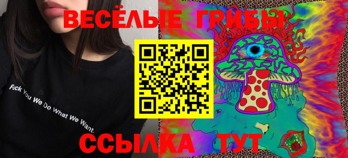 Галлюциногенные грибы Cubensis Саяногорск